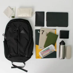 GREGORY / RHUNE 20 backpack