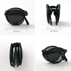 IZIPIZI / Sunglasses #F