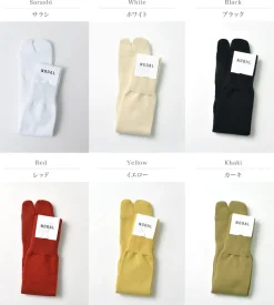 NODAL / New Standard Socks