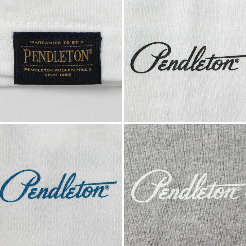 PENDLETON / S/S Ringer T-Shirt Harding