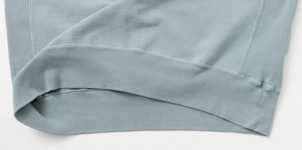 REMI RELIEF / SP processed back pile crew (VIRGINIA) Sweatshirt