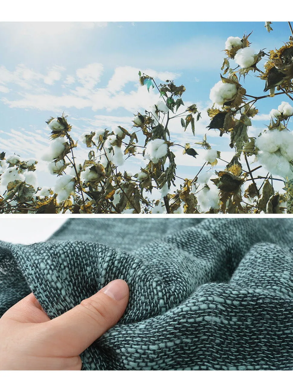 ROCOCO / Miyazaki Towel Imabari Muffler Snood