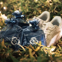 THE CEES / Shoe cleaner stick