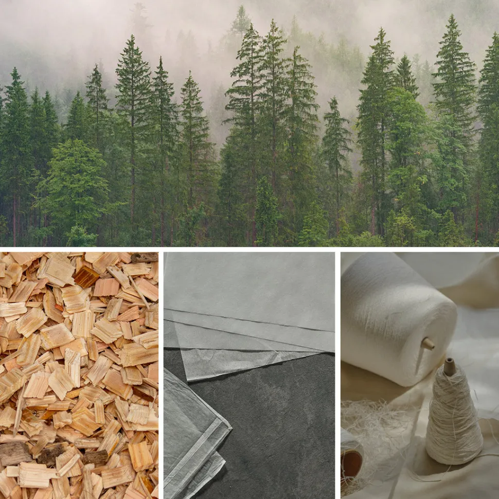 UNDERSON UNDERSON / Regular Boxer Shorts